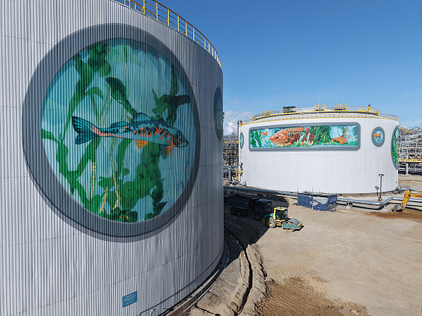 Амурский газохимический комплекс